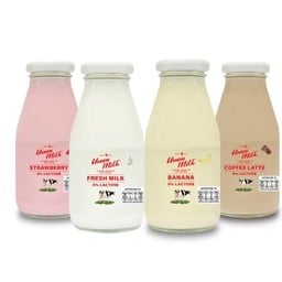 Pasteurized Lactose Free Milk