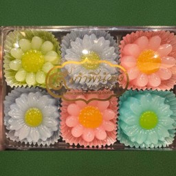 ขนมชั้นพิมดอก 6ช่อง