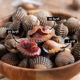 หอยแครง