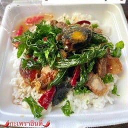 กระเพราอินดี้ เอื้ออาทรบ้านเป็ด