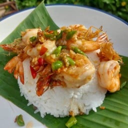 กับแข่ม้าว - กับข้าวแม่ อาหารตามสั่ง