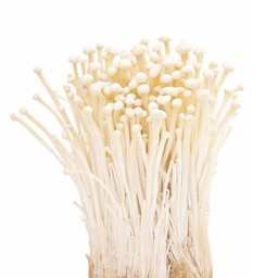 เห็ดเข็มทอง