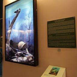 The war Remnants Museum
