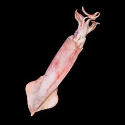 สยาม แจ่วเนื้อ สยาม แจ่วเนื้อ