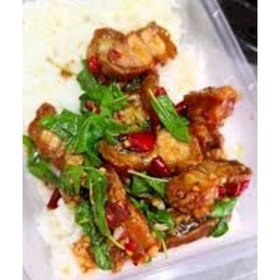 กะเพราหมูกรอบราดข้าว