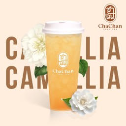 ชาใส คามิเลีย