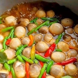 อาหารเจ พี่โอ๋ สายกลางเขต8 อาหารเจ
