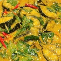 แกงปลาดุกใบยี่หร่า