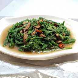 ยอดฟักแม้วไฟแดงเจ กับ พริก