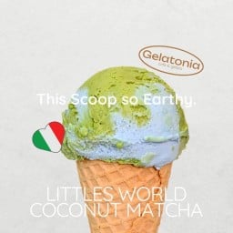 Gelatonia - เจลาโทเนีย สาขาจันทนิมิต