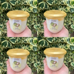 LUCKY COCONUT PUDDING & JELLY