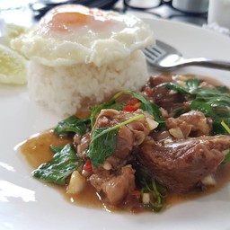 ข้าวกะเพรากรอบหมูตุ๋น