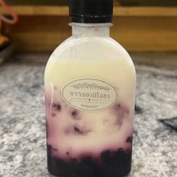 โยเกิร์ตมัลเบอร์รี่เม็ดเจีย