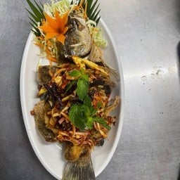 ปลากะพงลุยสวน