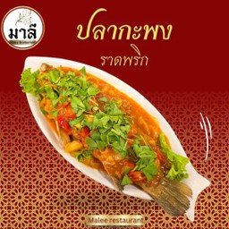 ปลากะพงราดพริก เป็นตัว