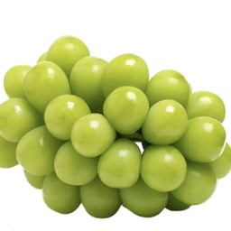 องุ่นไซมัสคัส