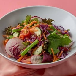 สลัดการ์เด้น