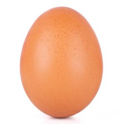 เพิ่ม ไข่ไก่ดิบ