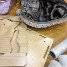 ข้าวหมูทอด ไข่ดาวพริกน้ำปลา