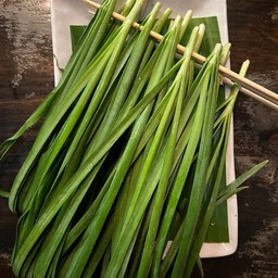 กุ้ยช่าย