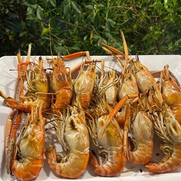 แกะกุ้งกินกัน (กุ้งเผาเที่ยงคืน)