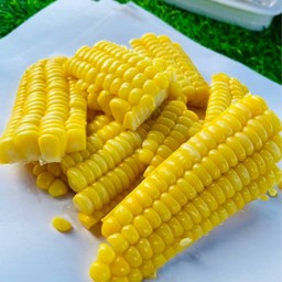 ข้าวโพด