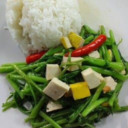 ผัดผักบุ้งเต้าหู้ราดข้าวเจ