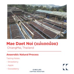 แม่แดดน้อย Anaerobic Natural 200g