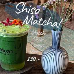 Shiso Matcha