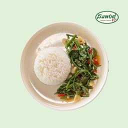 ยอดนางฟ้าไฟแดงราดข้าว