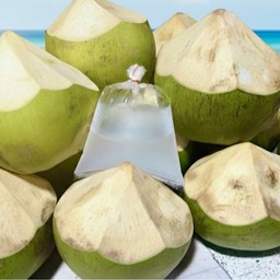 น้ำมะพร้าวแท้ 100%(ไม่ผสมเนื้อ)