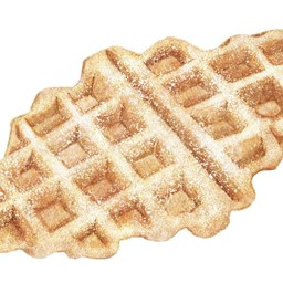 วาฟเฟิลธรรมดา