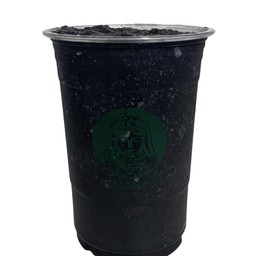 Charcoal coconut frappe มะพร้าวปั่นชาโคล