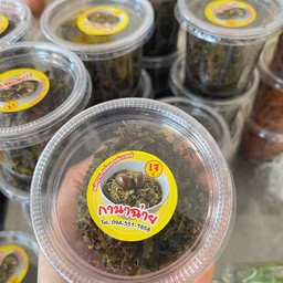 กานาฉ่าย