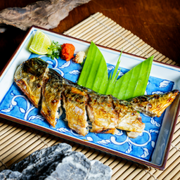 Grilled Japanese mackerelปลาซาบะย่าง