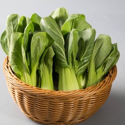 ผักกวางตุ้ง5ชิ้น 上海青5片 Shanghai Green55pcs