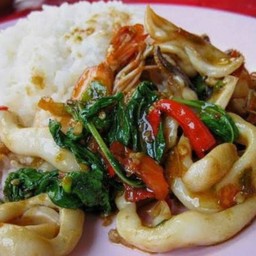 กะเพรา ทะเล