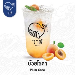 บ๊วยโซดา ( เจ )