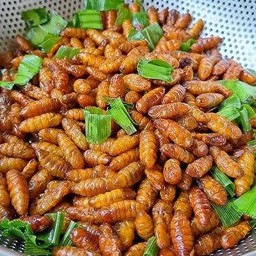 หนอนไหมทอด