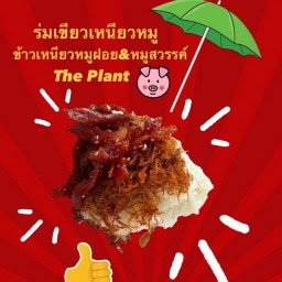 ข้าวเหนียวหมูฝอย & หมูสวรรค์ (The Plant)