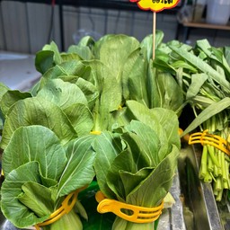 กวางตุ้งฮ่องเต้