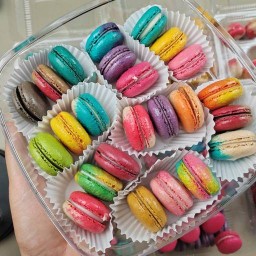 มาการอง