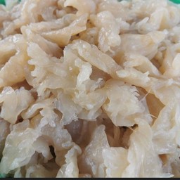 แมงกระพรุน