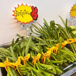 ผักบุ้ง