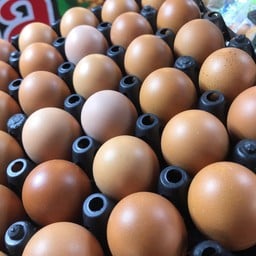 ไข่ไก่สดเบอร์ 3 - 10 ฟอง