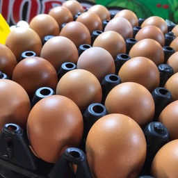 ไข่ไก่เบอร์ 1 - 30 ฟอง