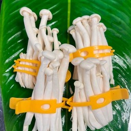 เห็ดชิเมจิ