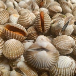 แม่สำราญ กินแซ่บ