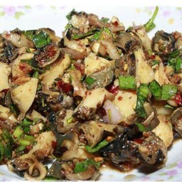 ก้อยหอย