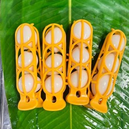 ไข่นกกระทา